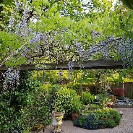 База отдыха Natuurbungalow Het Koolmeesje Пюттен