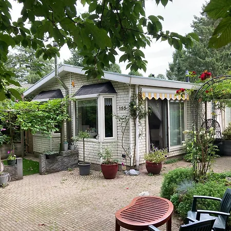 Natuurbungalow Het Koolmeesje Holiday park Putten