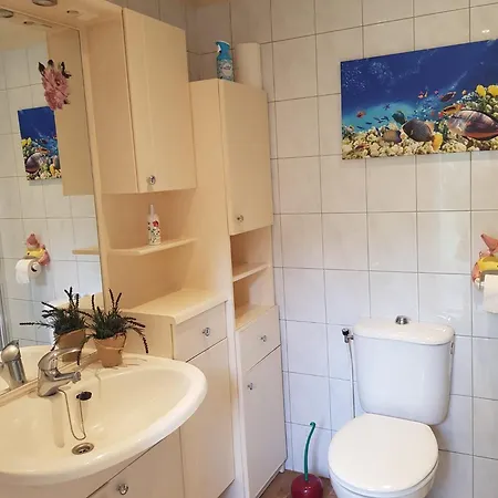 Natuurbungalow Het Koolmeesje *