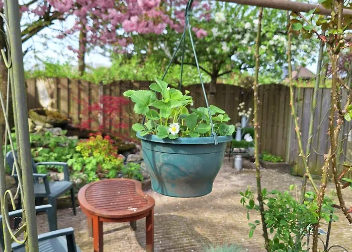 Vakantiepark Natuurbungalow Het Koolmeesje *