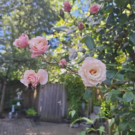 Natuurbungalow Het Koolmeesje Parque de vacaciones