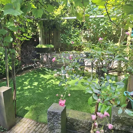 홀리데이파크 Natuurbungalow Het Koolmeesje *