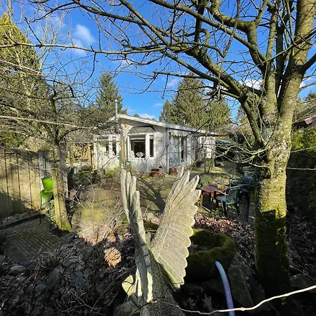 Natuurbungalow Het Koolmeesje * Putten