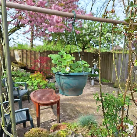 Parque de vacaciones Natuurbungalow Het Koolmeesje *