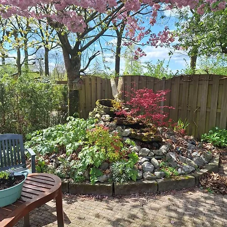 Parque de vacaciones Natuurbungalow Het Koolmeesje