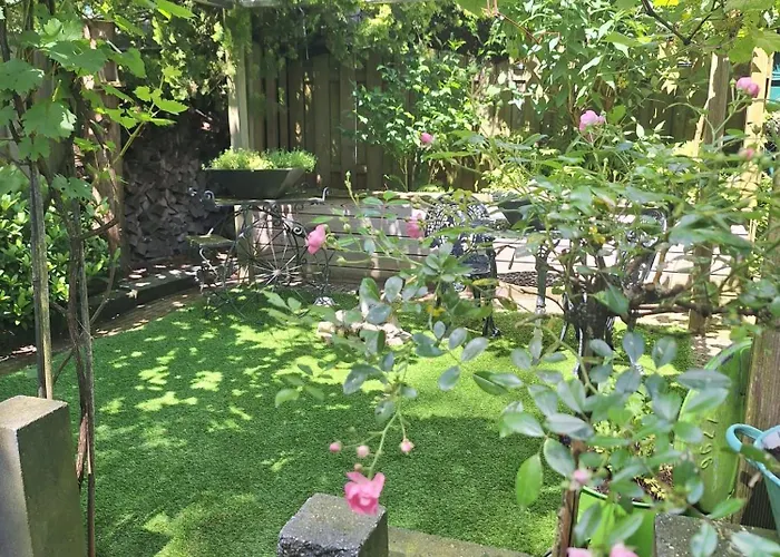 Tatil parkı Natuurbungalow Het Koolmeesje *