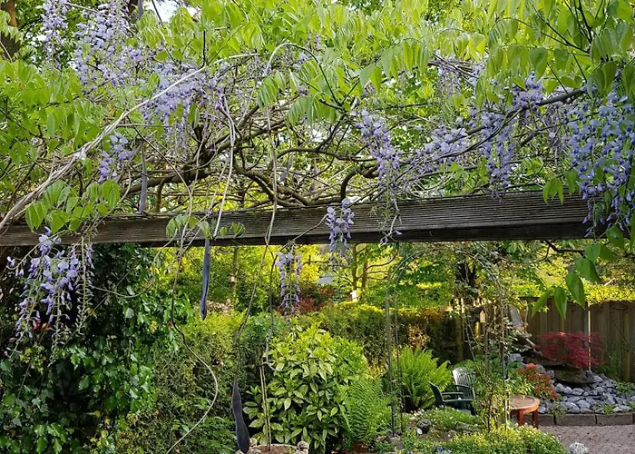 Tatil parkı Natuurbungalow Het Koolmeesje Putten