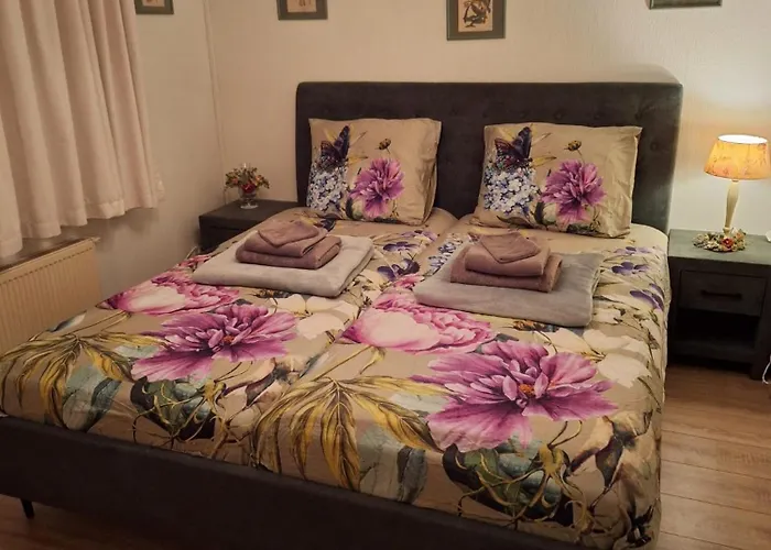 Tatil parkı Natuurbungalow Het Koolmeesje *