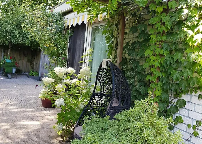 Tatil parkı Natuurbungalow Het Koolmeesje *