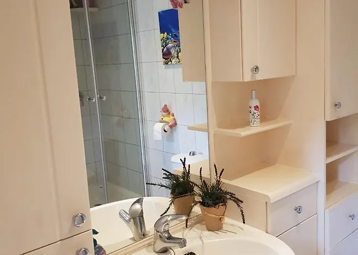 Natuurbungalow Het Koolmeesje Tatil parkı Putten